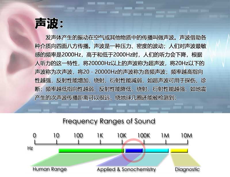 德召尼克